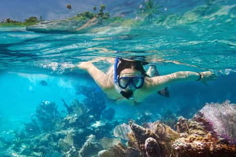 From Cancun or Riviera Maya: Isla Contoy & Mujeres Day Trip
