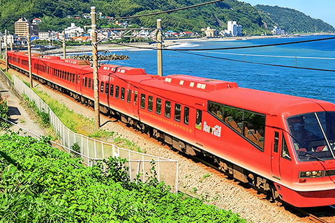 Small Group Day Tour:Omuro Mountain & the Izu Scenic Railway Hotel Transfer Option