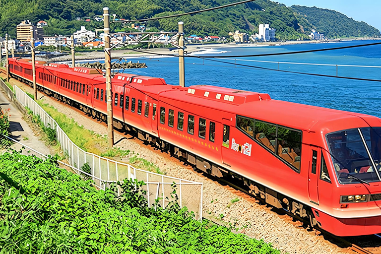 Small Group Day Tour:Omuro Mountain & the Izu Scenic Railway Hotel Transfer Option