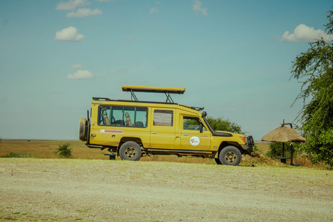 Arusha: 4-Day Safari with Full-Board Accommodations