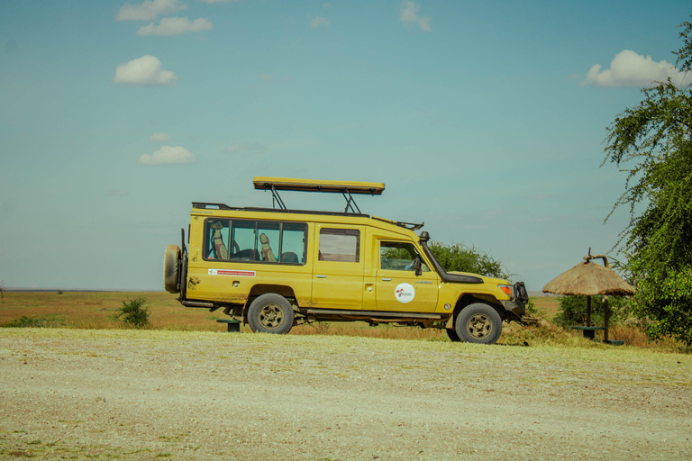 Arusha: 4-Day Safari with Full-Board Accommodations