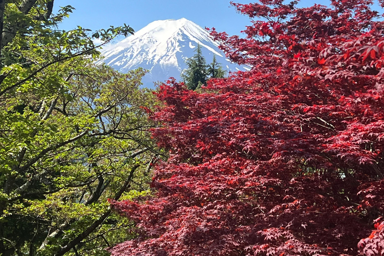 From Tokyo: Mount Fuji day Trip with English Speaking Driver From Tokyo: Private 1-Day Mount Fuji Charter with Driver