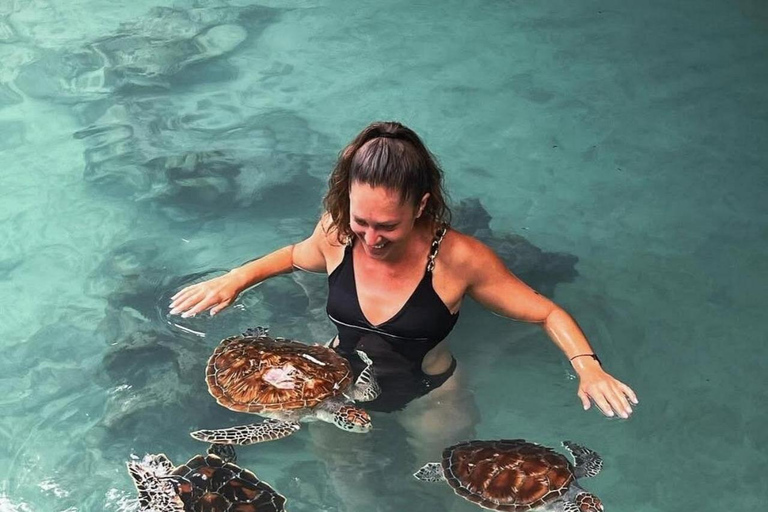 Zanzibar: Jozani forest, Reptile park and Salaam cave tour Private tour with Hotel pick up and drop-off included.