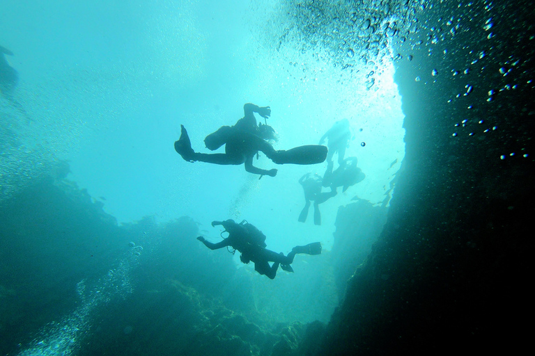 Malta: Boat Dive Trip for Certified Divers