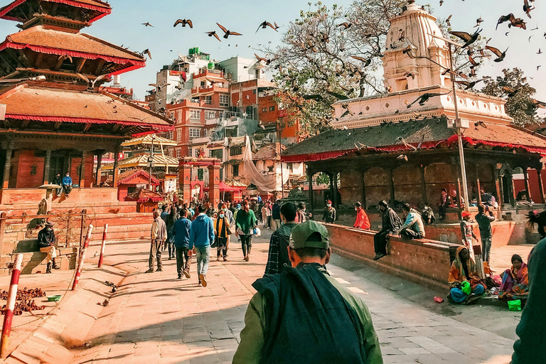 Det bästa av Katmandu: Privat guide, bil och personlig turHeldagsvandring främmande språk