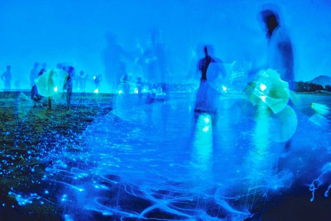 From Osaka: Awaji Island Magical Blue Sea Firefly Night Tour From Namba