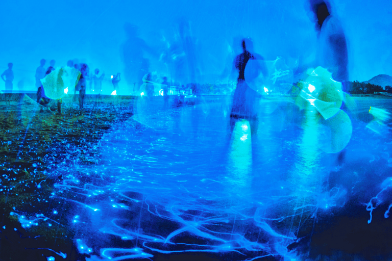 From Osaka: Awaji Island Magical Blue Sea Firefly Night Tour From Namba