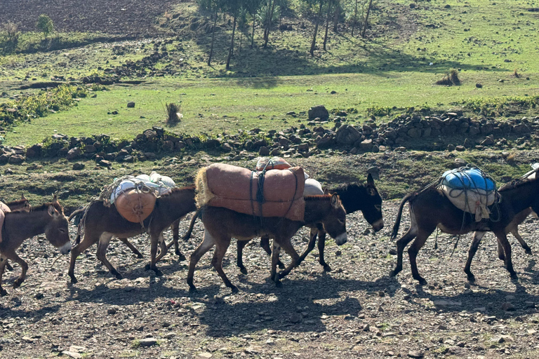 Addis Ababa FlexibleAdventure: Merkato Market & Entoto Views