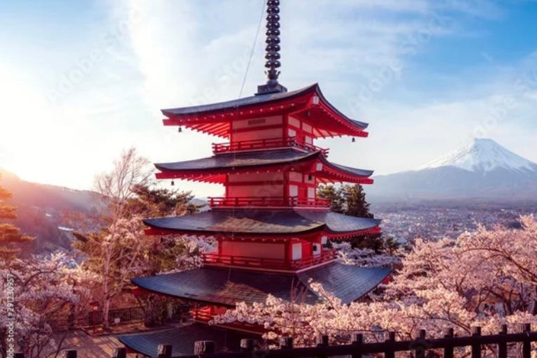 From Tokyo/Yokohama: Mt. Fuji & Tea Ceremony Private Tour