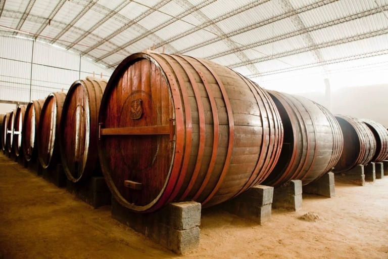 Pisco- und Weinverkostungstour - Aufbruch zur Pisco-Route