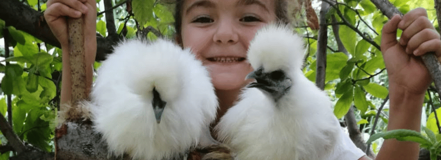 La nature à portée de main : animaux et herbes sauvages dans une ferme de Pesaro