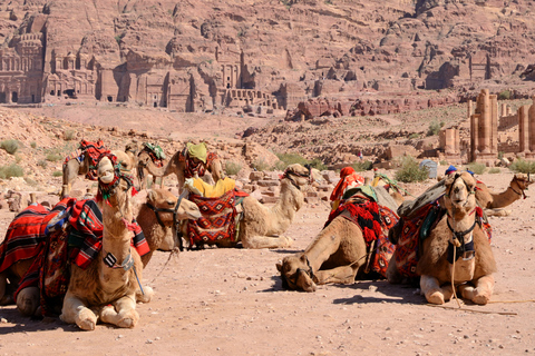 Aqaba: Trasferimento privato a Petra con Wi-Fi e acqua