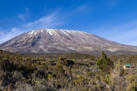 Ruta del Kilimanjaro Rongai: Senderismo en la cumbre incluye HotelRuta del Kilimanjaro Rongai: Senderismo por la cumbre en 9 días
