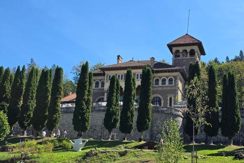 Bucharest: Cantacuzino Palace Private Half-Day Trip