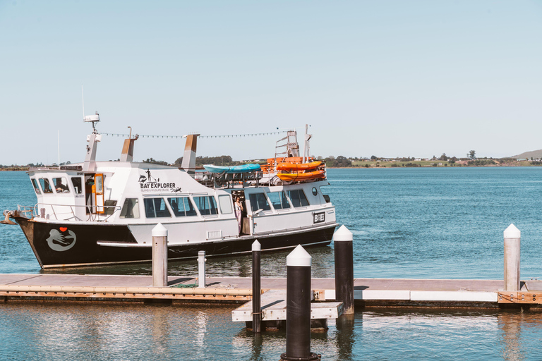 Cruzeiro no porto de Tauranga