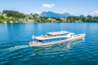 Lucerne: 1-Hour Cruise on Panoramic Yacht