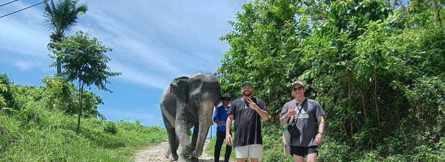 Phuket : visite guidée d'un sanctuaire d'éléphants avec transfert