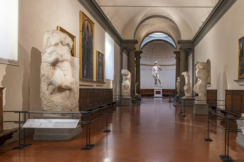 Firenze: Tour guidato della Galleria dell&#039;Accademia con biglietto d&#039;ingressoTour guidato in francese