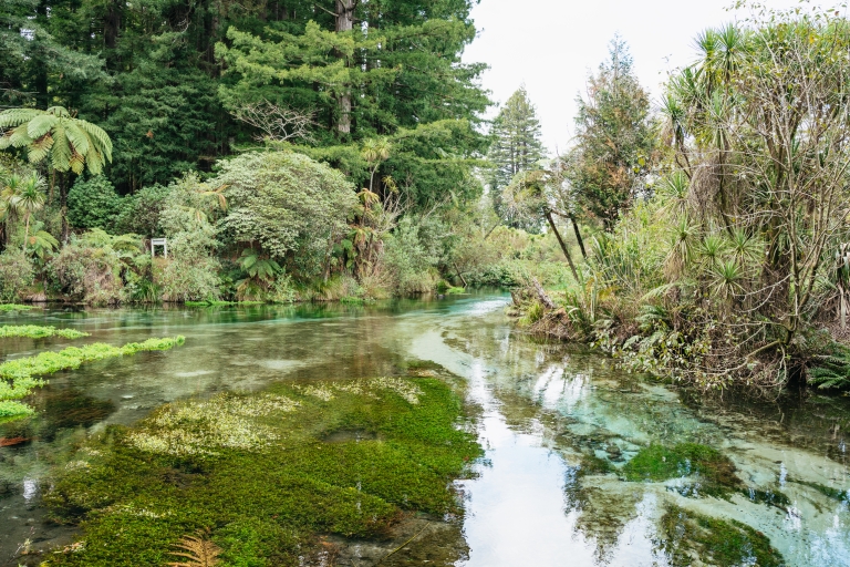 Rotorua : Excursion écologique d'une demi-journée à la découverte des lacs