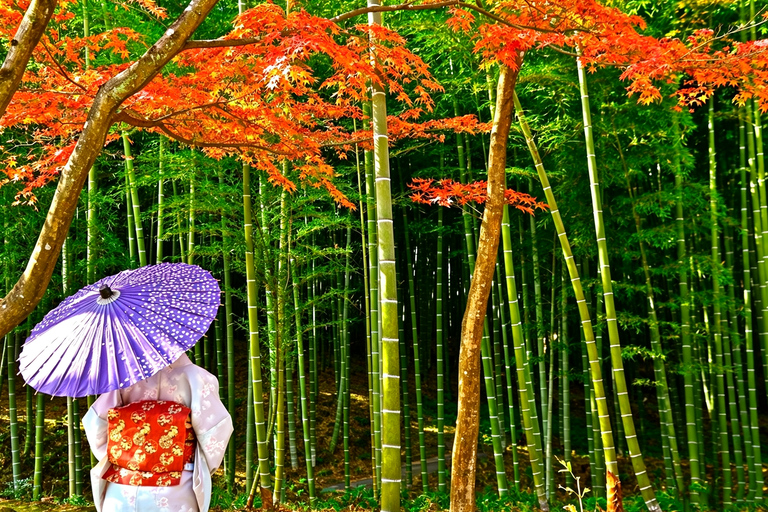 Osaka/Kyoto: Arashiyama, Nara Park & Fushimi Inari Day Tour Kyoto Departure: Private Sightseeing Tours