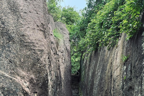 From Colombo: Gampaha District Temples & Jungle Hike Tour