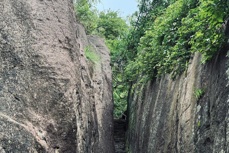 From Colombo: Gampaha District Temples & Jungle Hike Tour