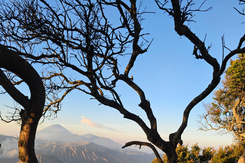 "Java Highlights: Yogyakarta to Bromo & Ijen Volcanoes"