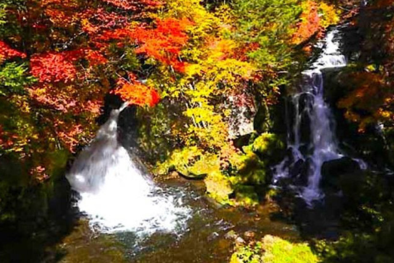 From Tokyo: Nikko UNESCO Sites Private English Guided Tour