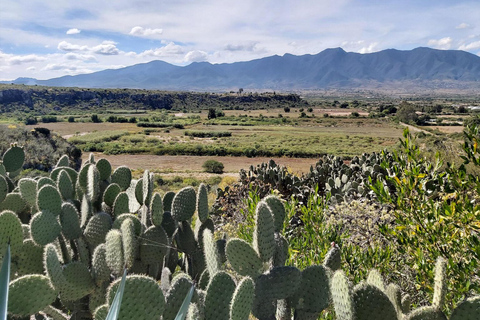 Oaxaca: La Culebra - Grotte preistoriche Tour di 1 giorno in biciclettaPrezzo a partire da 8 persone