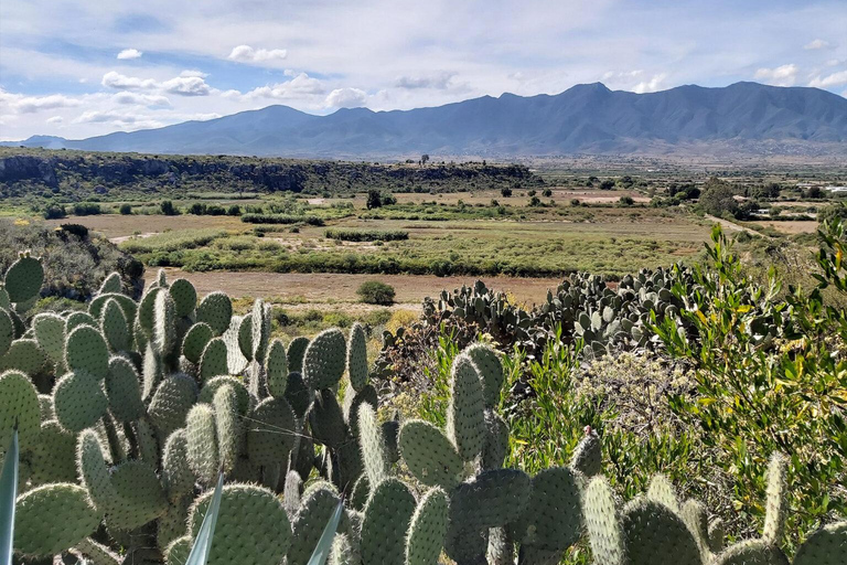 Oaxaca: La Culebra - Grotte preistoriche Tour di 1 giorno in biciclettaPrezzo a partire da 8 persone