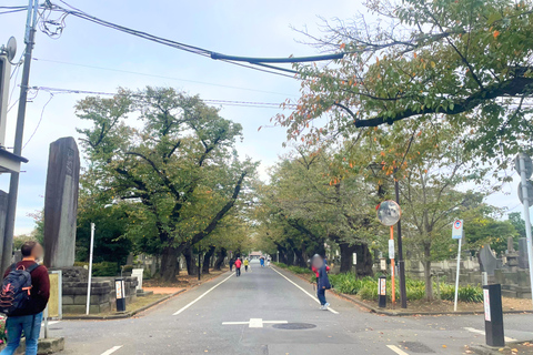 Tokio: Prywatna wycieczka do Beckoning Cat Painting w Yanaka