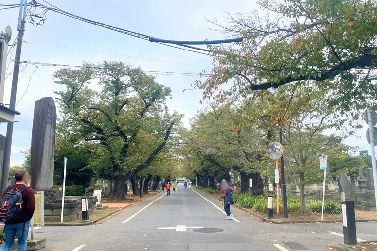 Tokio: Prywatna wycieczka do Beckoning Cat Painting w Yanaka