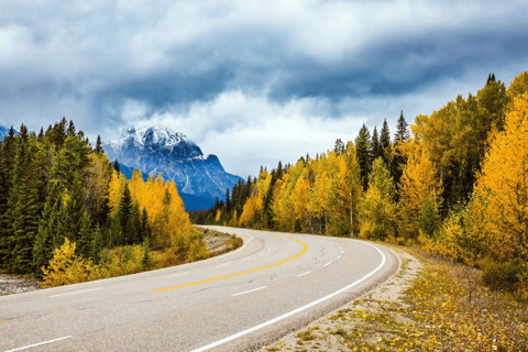 Calgary: Banff, Lake Louise och Canmore SUV TourCalgary: SUV-tur till Banff, Lake Louise och Canmore