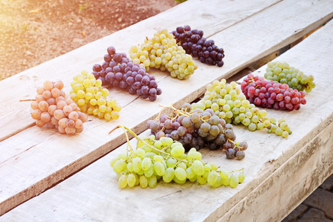 Esperienza di degustazione di vini in Cappadocia
