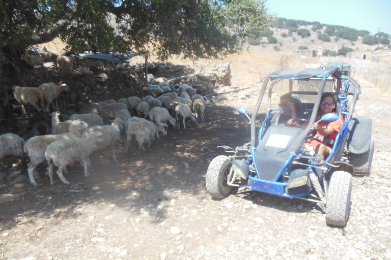 Safari en buggy en Crète (transfert et déjeuner) analipsi- hersonisos