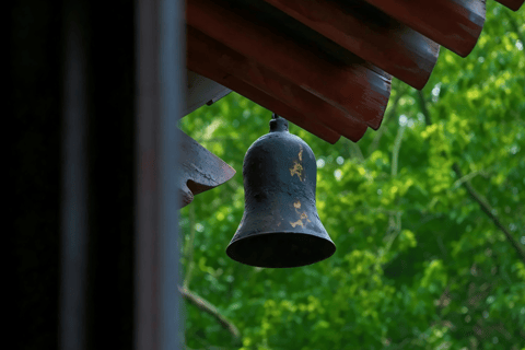 Hangzhou Half-Day: Pagoda, Bamboo Grove, and Old Street Tour