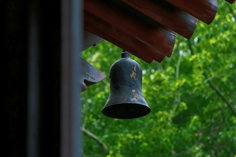 Hangzhou Half-Day: Pagoda, Bamboo Grove, and Old Street Tour
