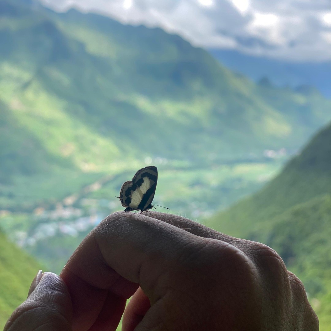 Galería de fotos para redes