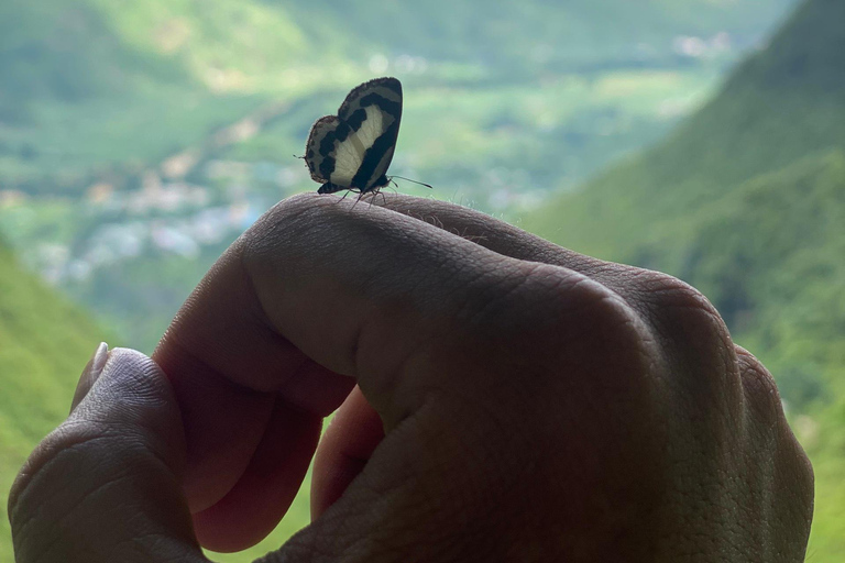 Ruta del Jazmín por el Bucle de Ha Giang 4D3N