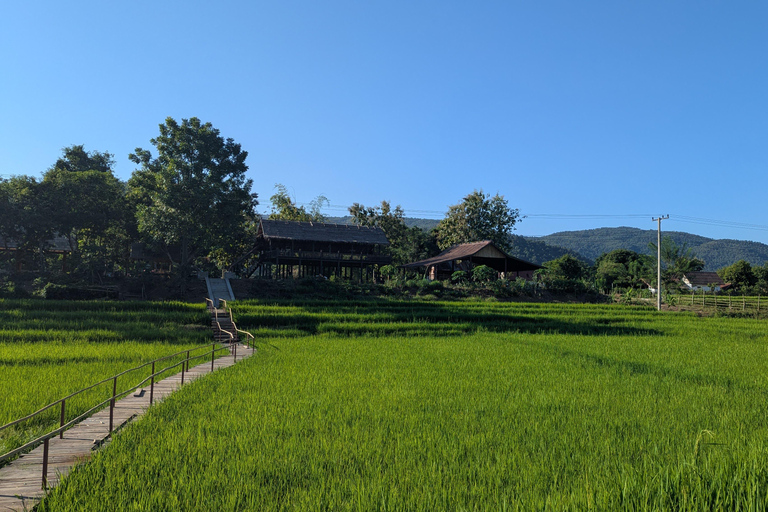 Kuang Si Waterfall & Rice Farm Tour with Sunset Cruise