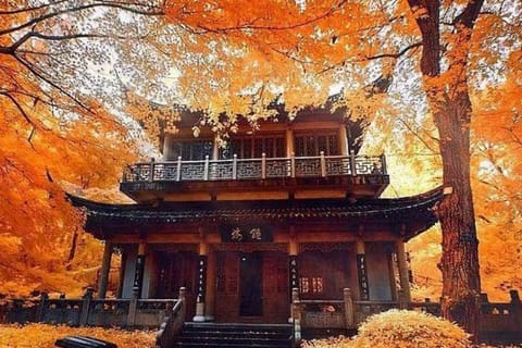 Nanjing: 3-Day Private Tour to Nanjing Museum