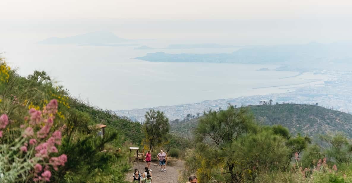 Afbeelding 29 van Vanuit Napels: Pompeii ruïnes & Mount Vesuvius Dagtour