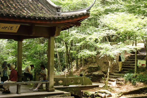 Hangzhou Half-Day: Pagoda, Bamboo Grove, and Old Street Tour