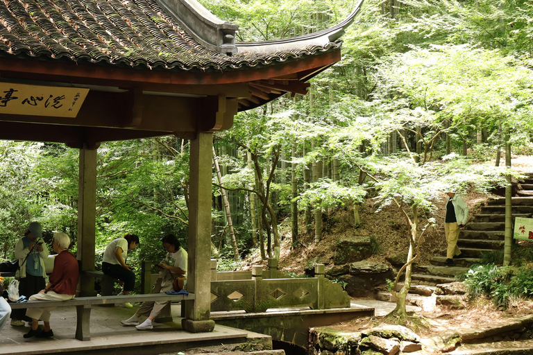 Hangzhou Half-Day: Pagoda, Bamboo Grove, and Old Street Tour