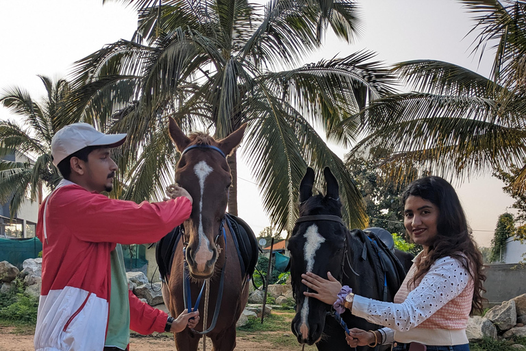 Bangalore: Horse Riding Safari Tour