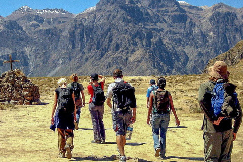 Trekking dans le canyon de Colca 2 jours