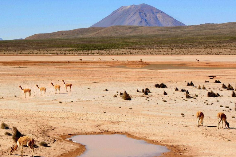 Chivay: Puno Journey with Andes, Wildlife & Lake Viewpoints
