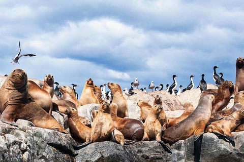 Beagle Channel on yacht with minitrekking