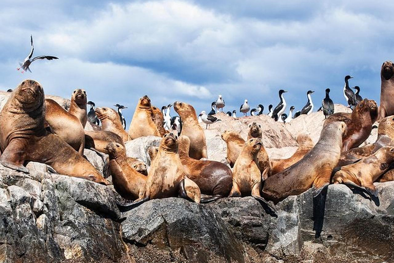 Beagle Channel on yacht with minitrekking