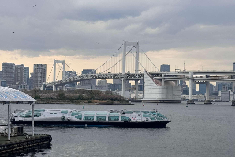 Tokyo: Private Customizable Tour with Driver-Guide